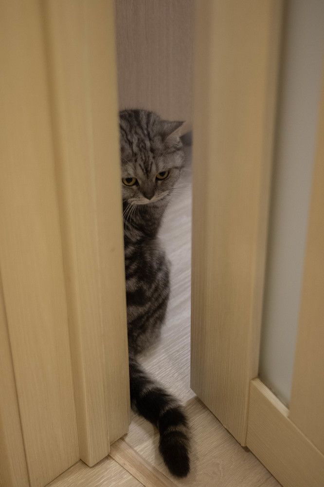 Photograph by Инна