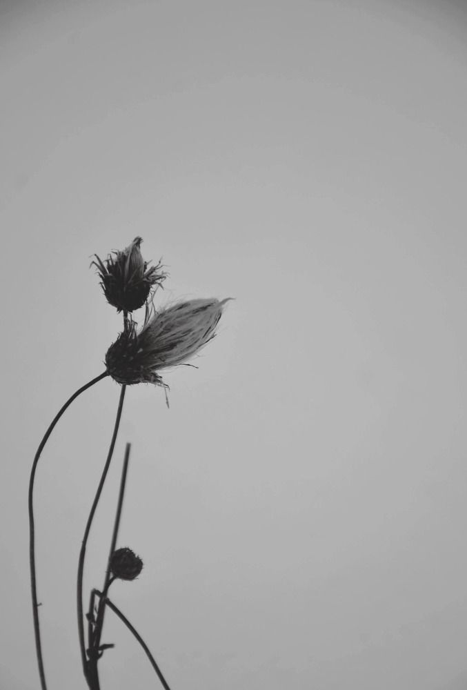 Photograph by Зыкова Мария