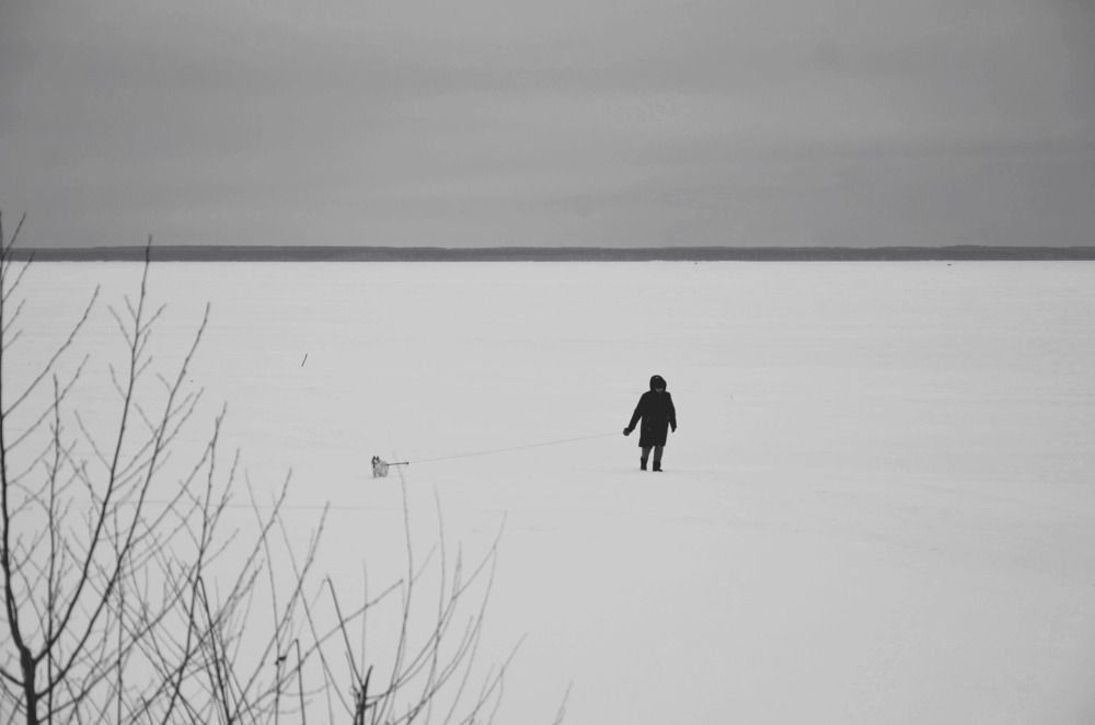 Photograph by Зыкова Мария