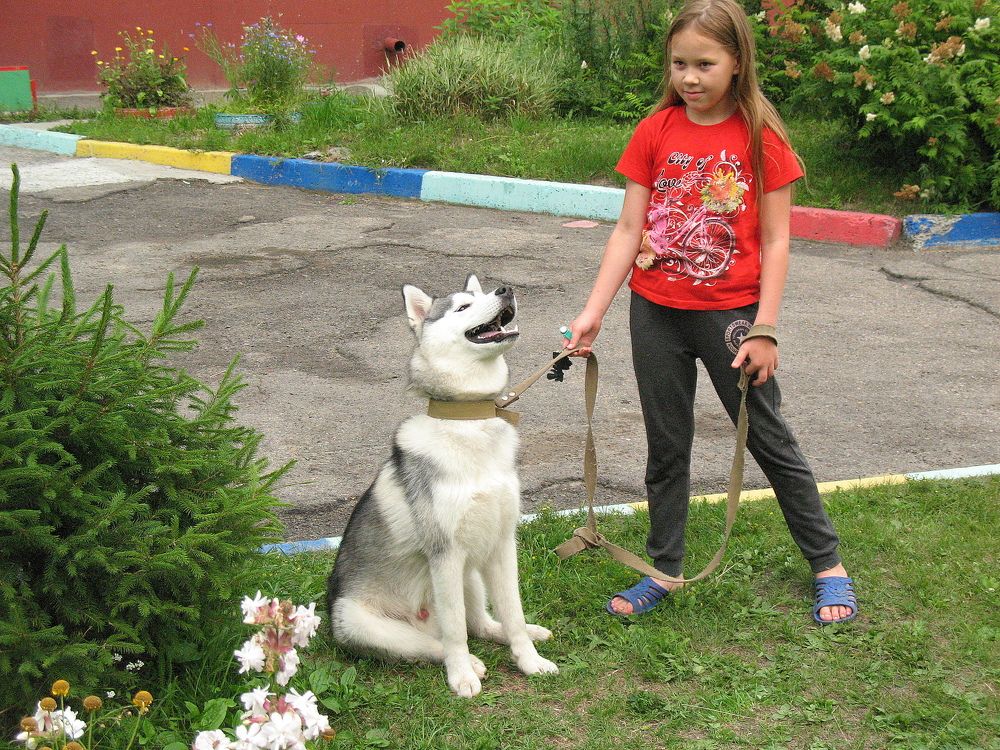 Photograph by Владимир