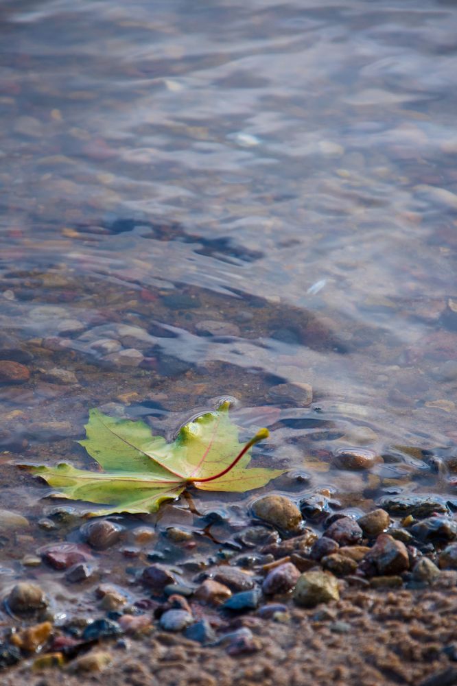 Photograph by Ксения Малютина