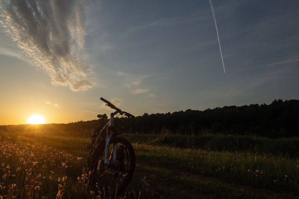 Photograph by Алексей