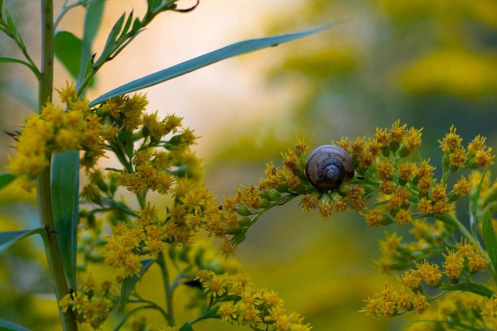 Photograph by Ксения Малютина