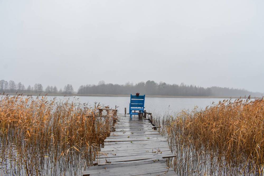 Photograph by Лариса Толкачёва