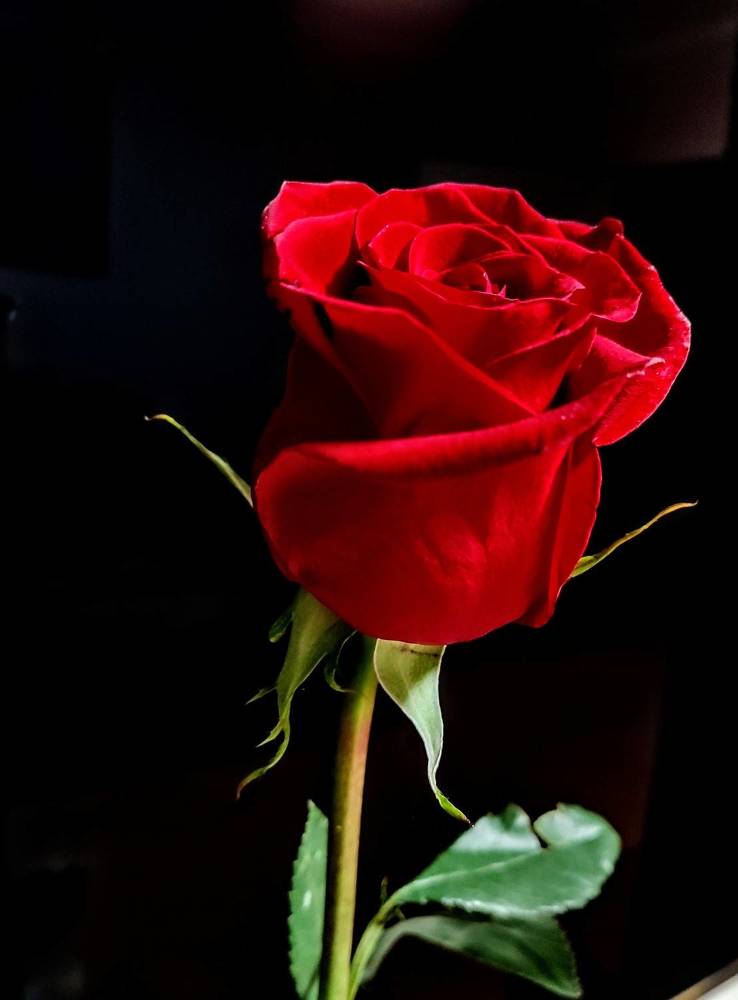 Photograph by Анна Андреевна