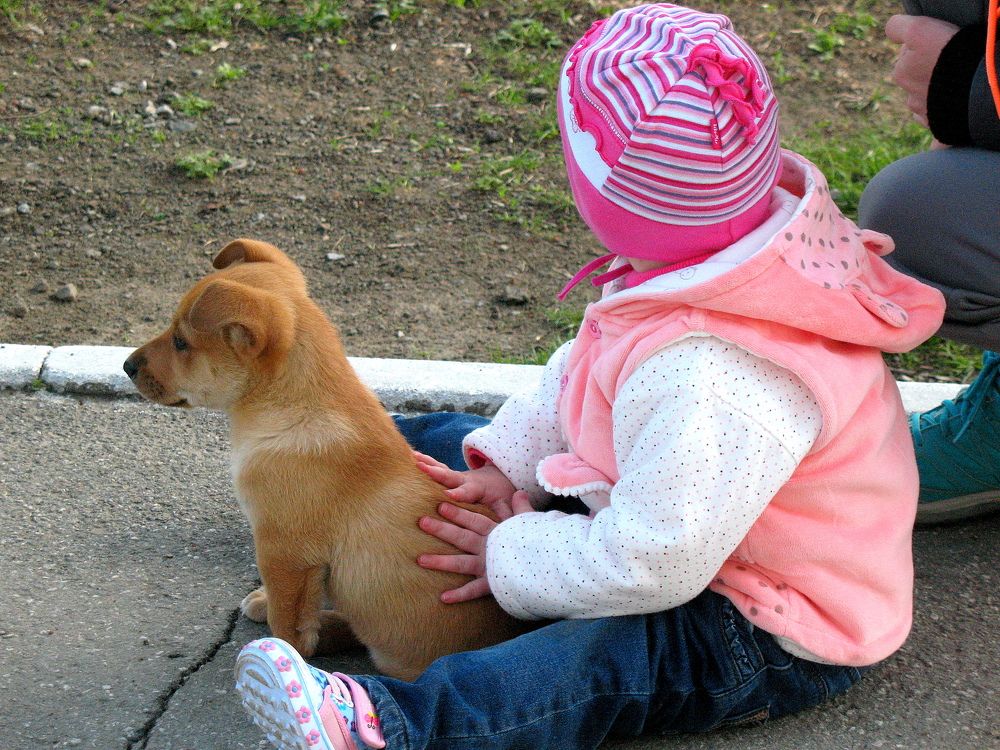 Photograph by Владимир