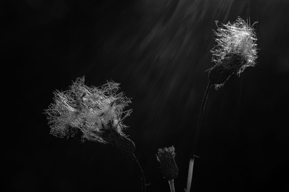 Фотография автора Ирина Гриценко