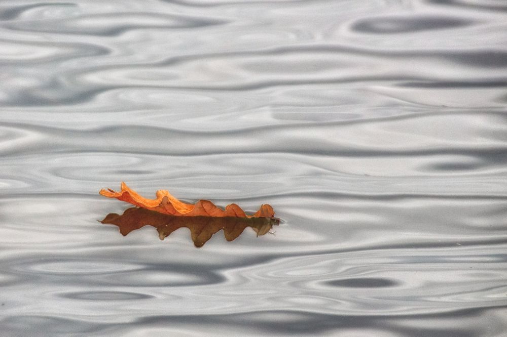 Photograph by Татьяна Романова