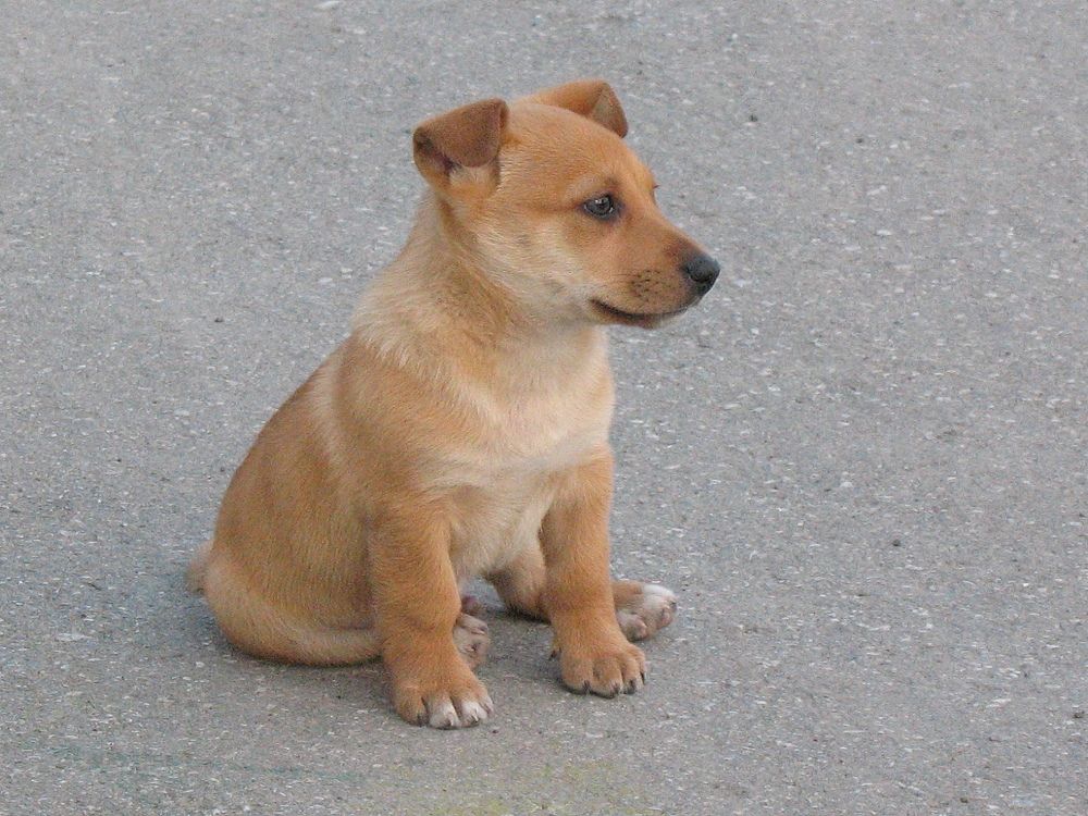 Photograph by Владимир