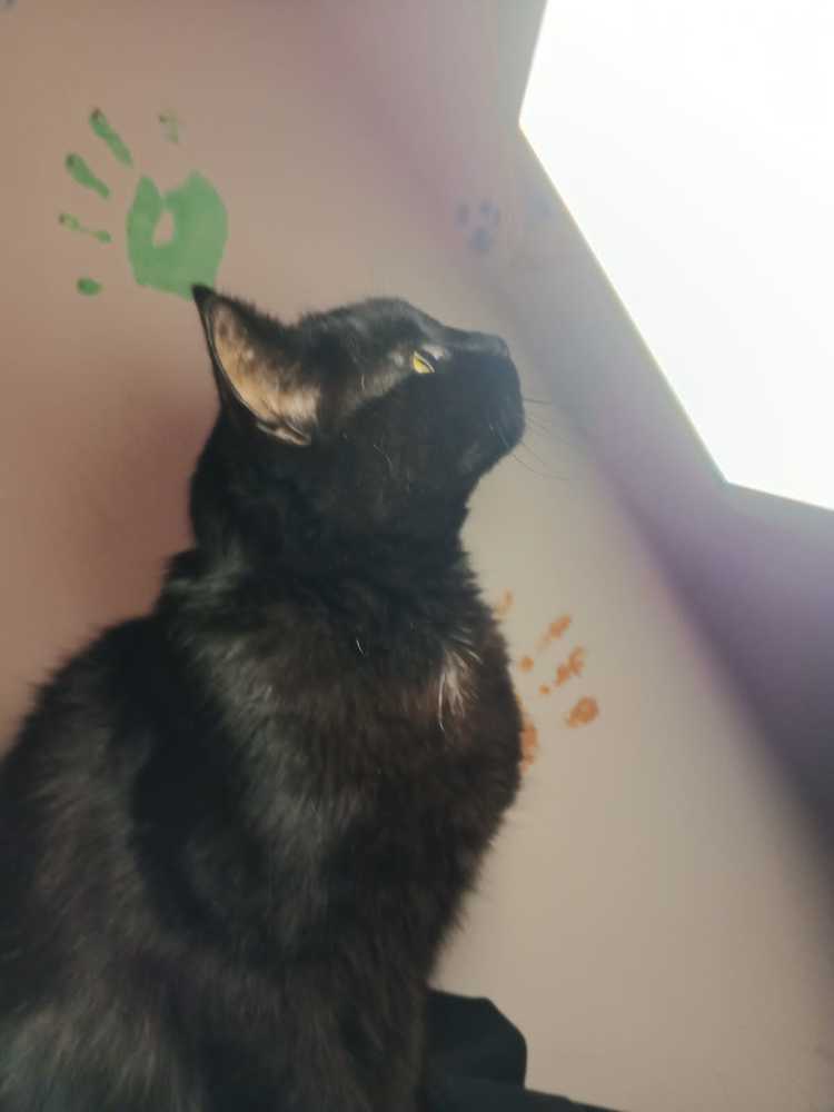 Photograph by Олеся Жакова