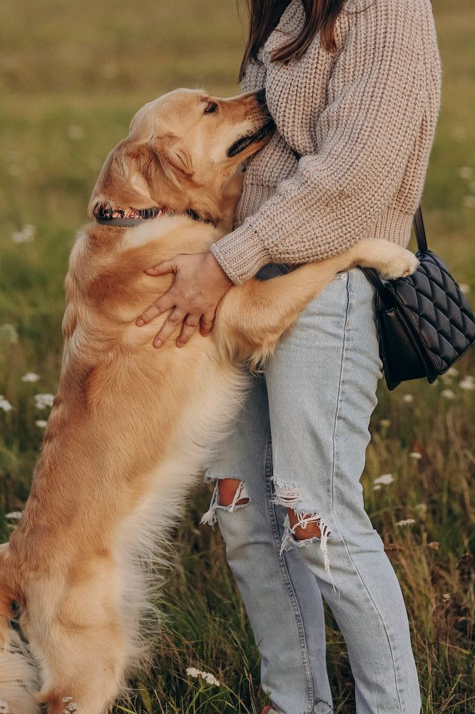 Фотография автора Valentina