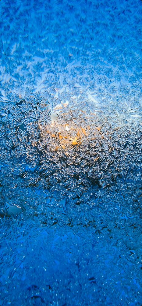 Photograph by Konstantin Martynov