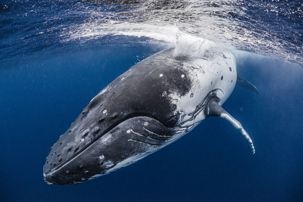 Photograph by Kurashima Daisuke