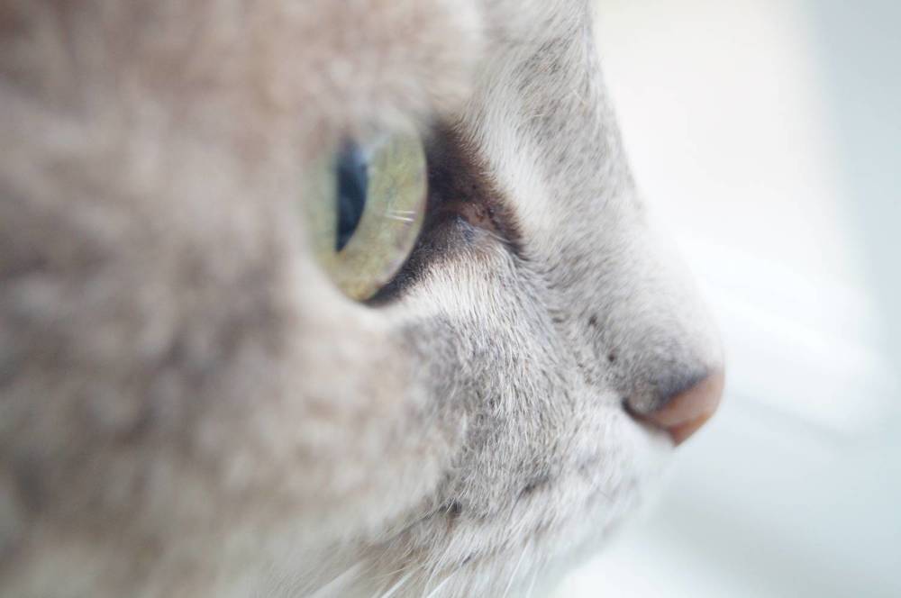 Photograph by гульназ замалеева