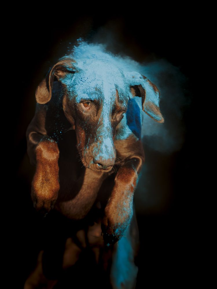 Photograph by Мария Клещенко