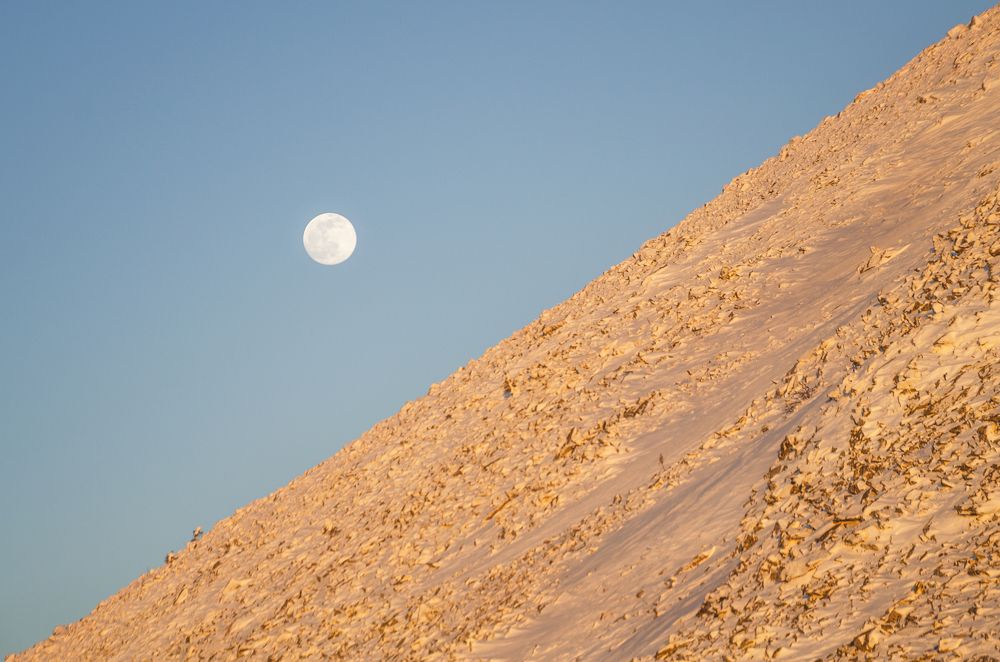 Photograph by Толстоноженко Илья