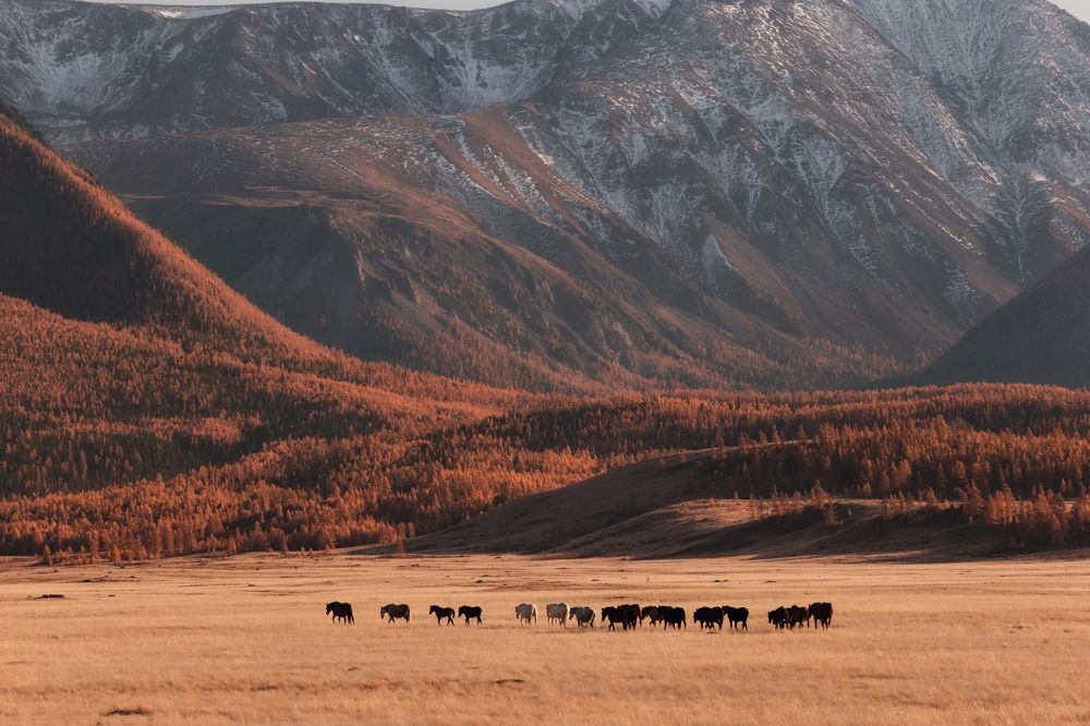 Photograph by Анастасия Калинцева