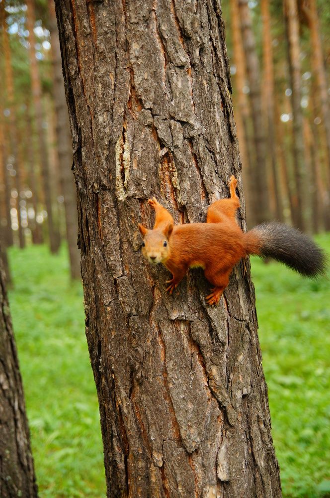 Photograph by Елена Куртукова