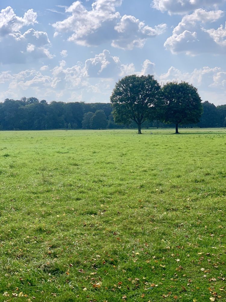 Photograph by Анастасия Мангольд