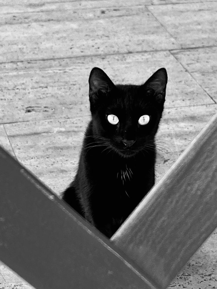 Фотография автора ГУЗАЛИЯ ГАНИЕВА