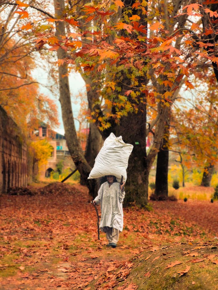 Photograph by Faizan Meer