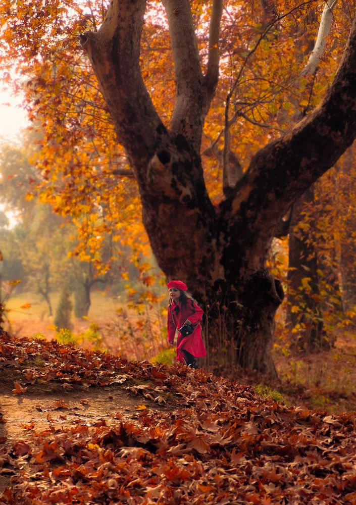 Photograph by Faizan Meer