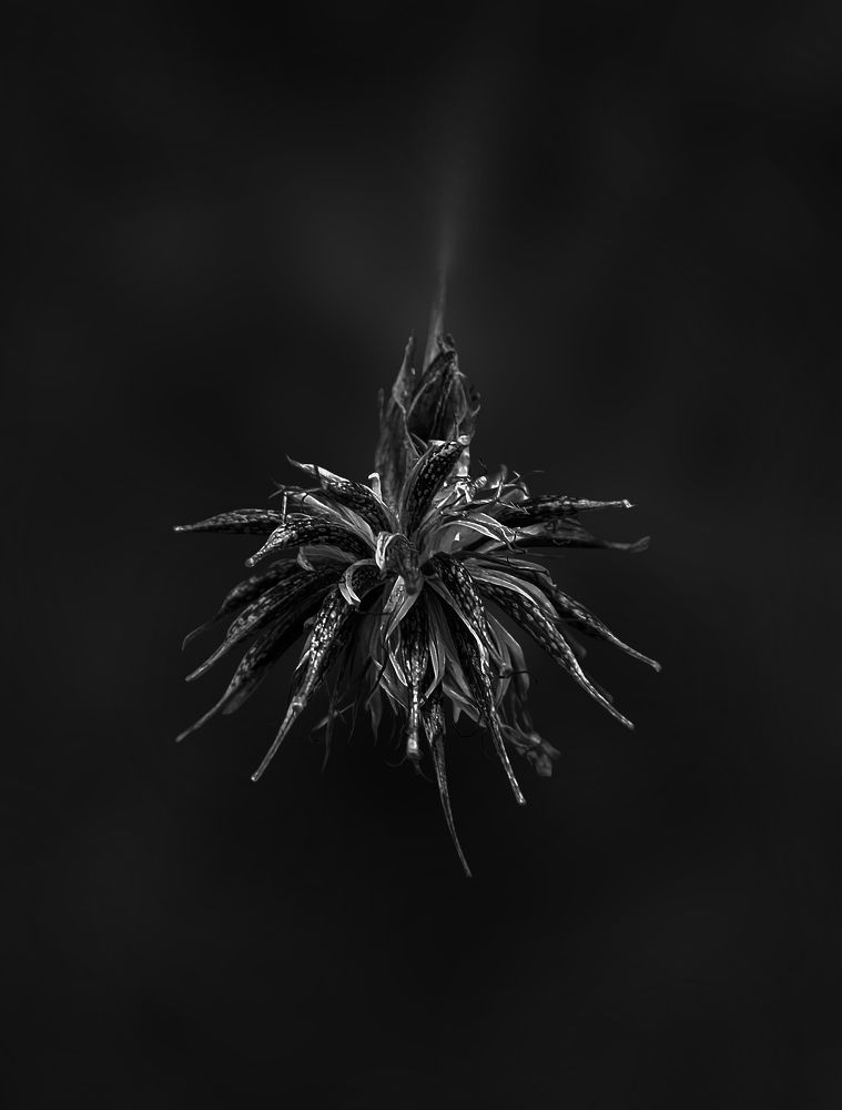 Photograph by Анастасия Семилетова