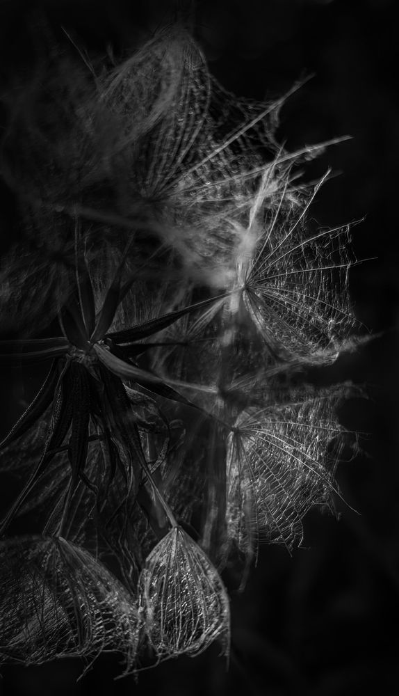 Photograph by Анастасия Семилетова