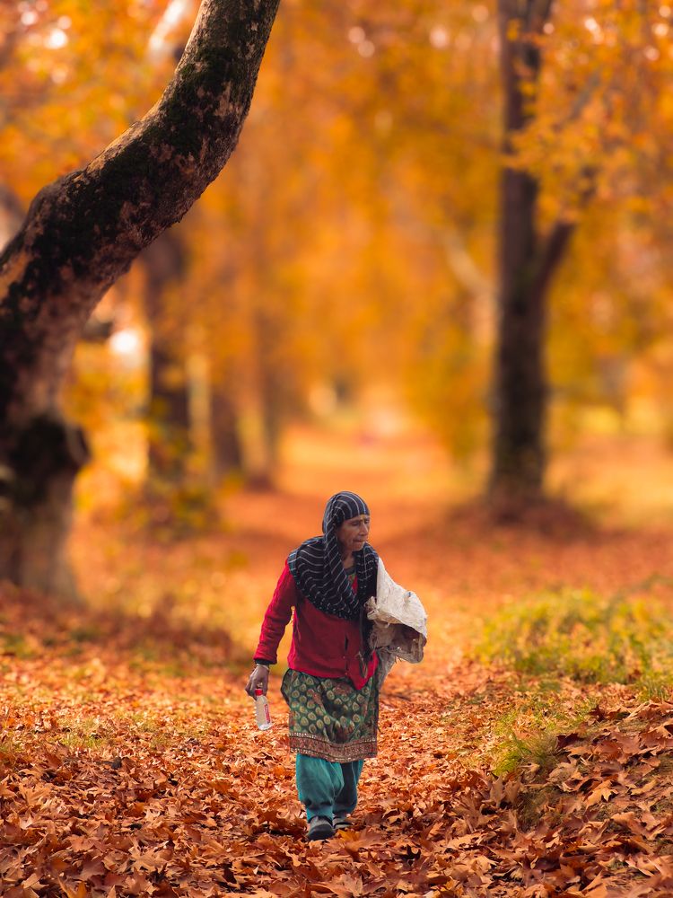 Photograph by Faizan Meer