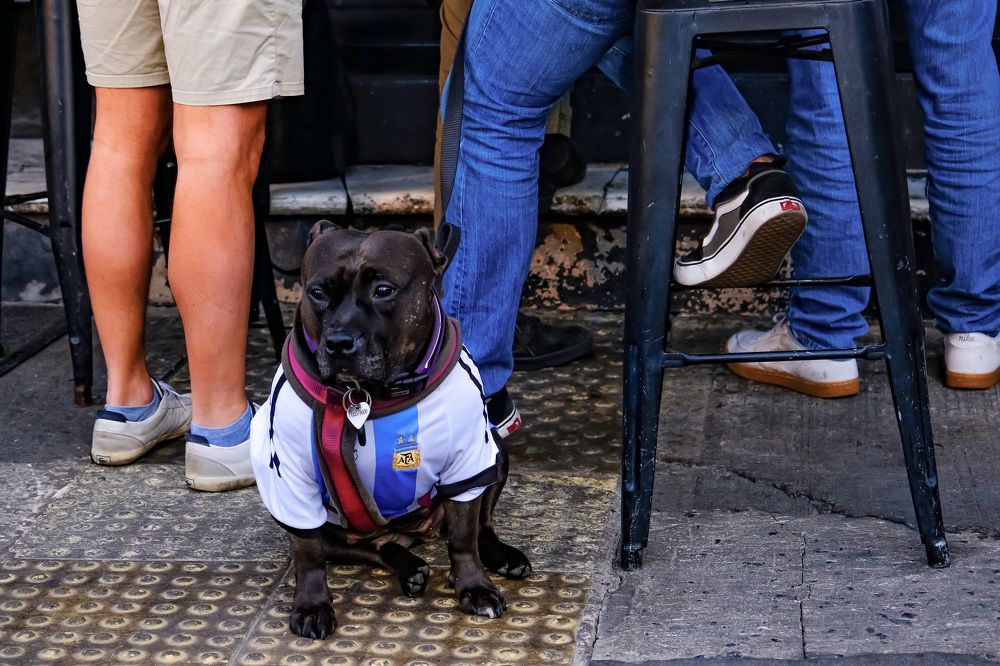 Photograph by Сергей Аверченко