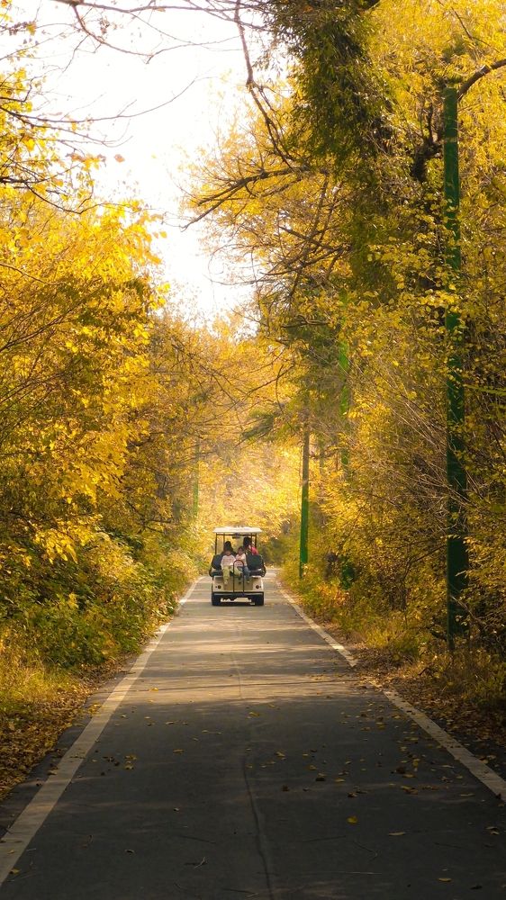 Photograph by Faizan Meer