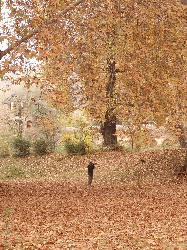 Photograph by Faizan Meer