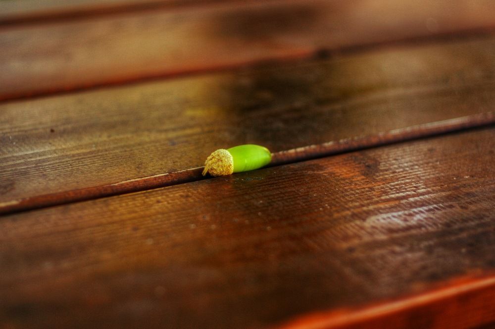 Photograph by Magic Helios