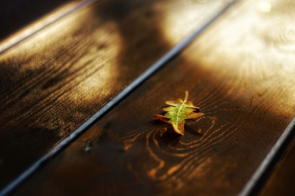 Photograph by Magic Helios