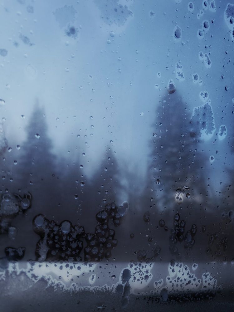 Фотография автора Ольга Кунакова