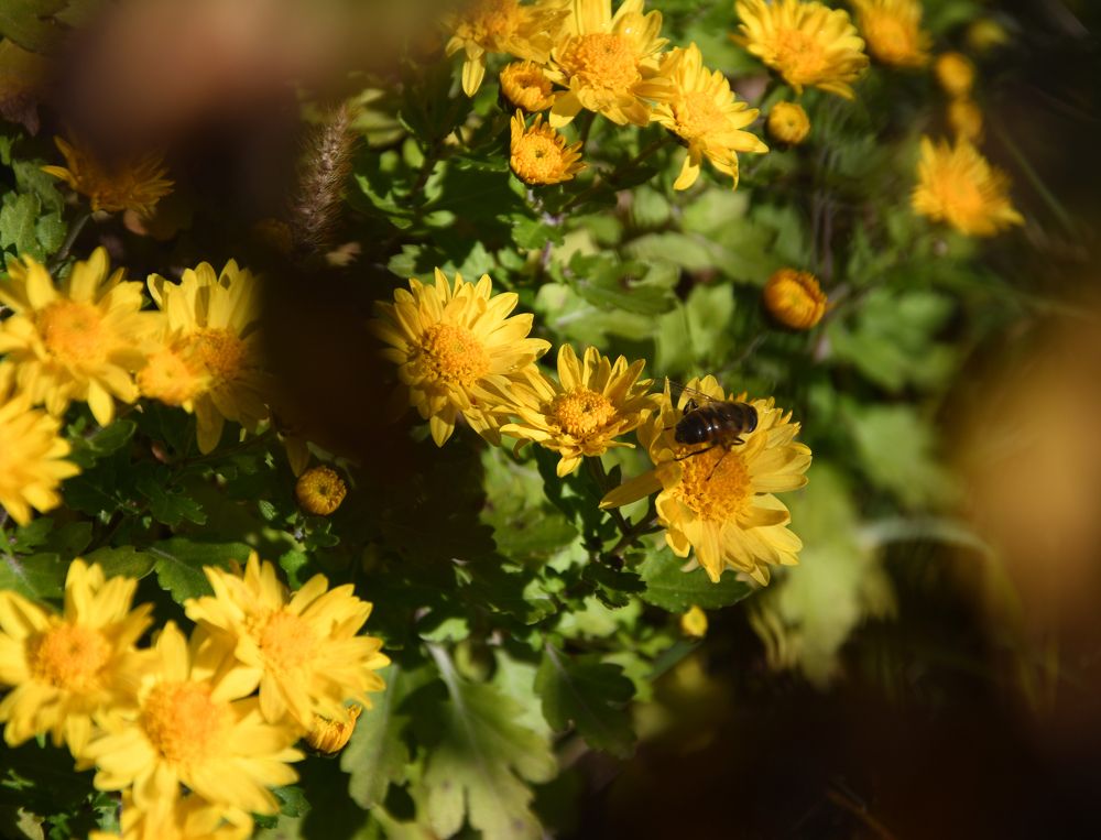 Photograph by Ксения Малютина