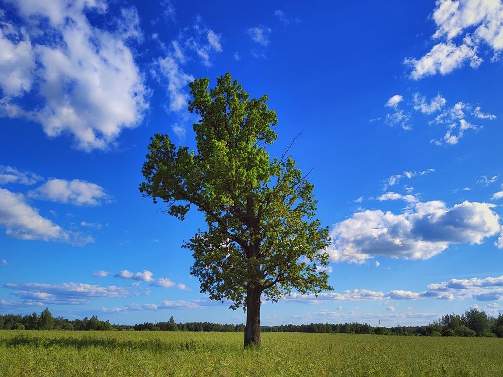 Photograph by Евгений Белов