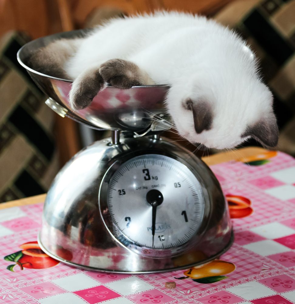 Photograph by Олег Чернышев