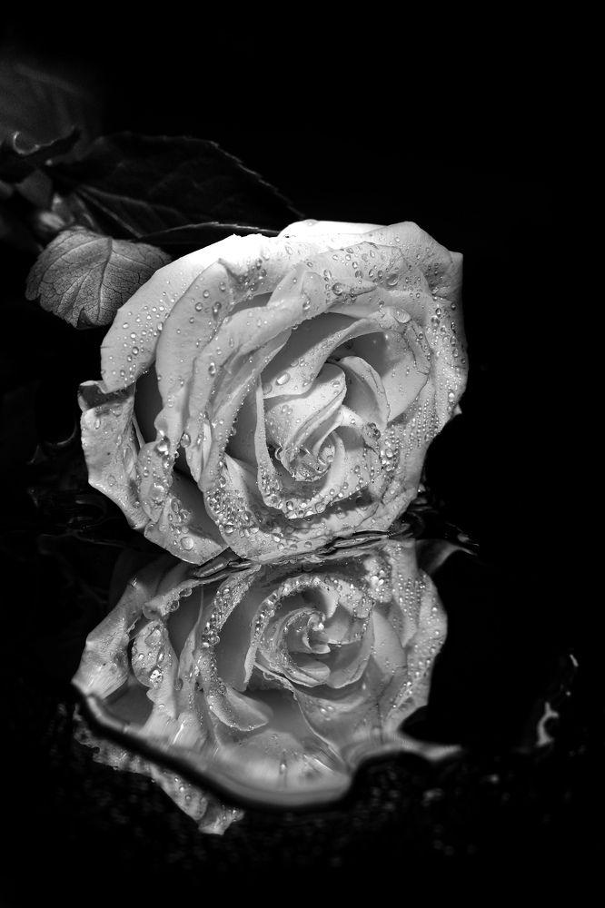 Photograph by Мария Пояскова