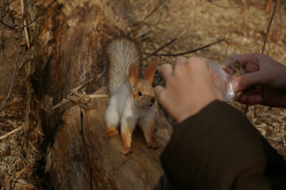 Photograph by Елена Алешкевич