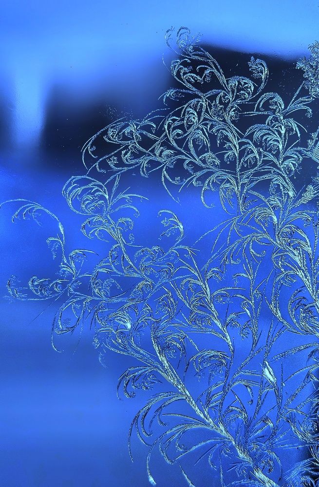 Photograph by Ольга Веселова