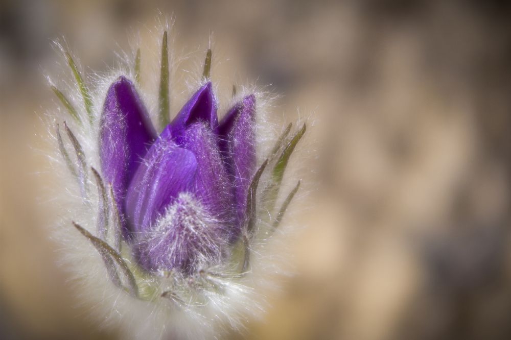 Photograph by Alvils Baltins