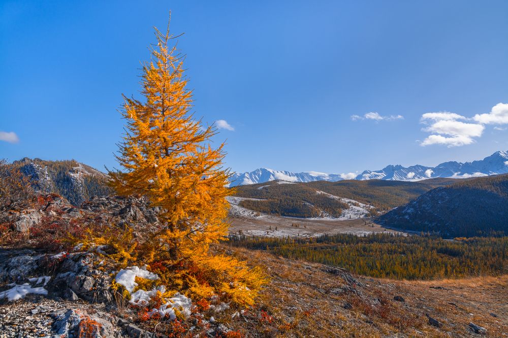 На фоне горного хребта