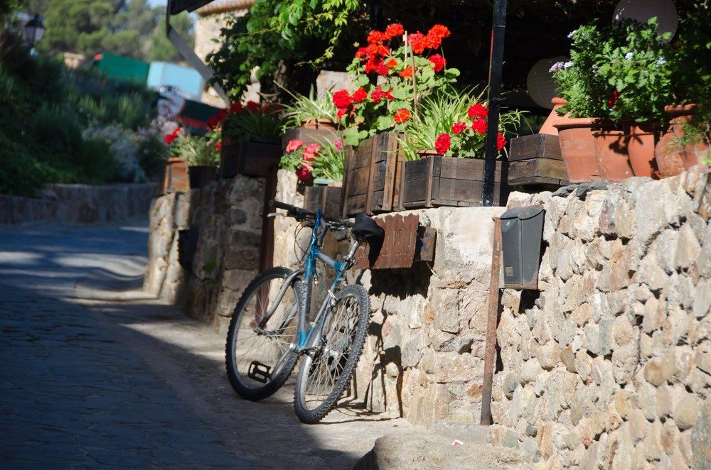 Photograph by Татьяна