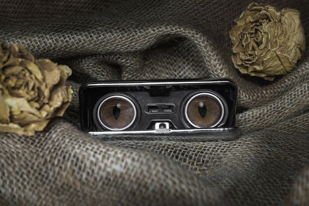 Photograph by Alvils Baltins