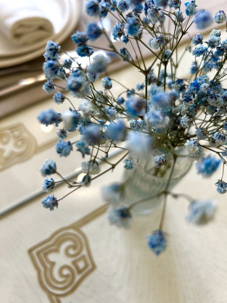 Photograph by Амирова Анар