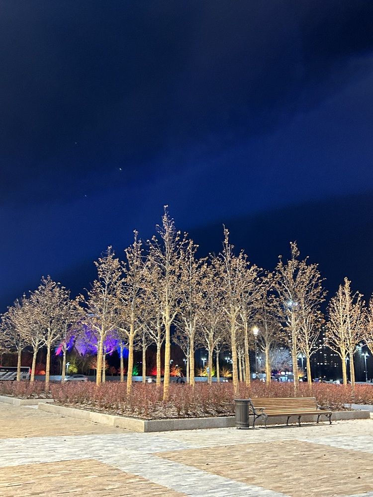 Photograph by Амирова Анар