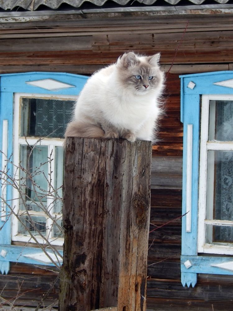 Photograph by Юрий Пучков