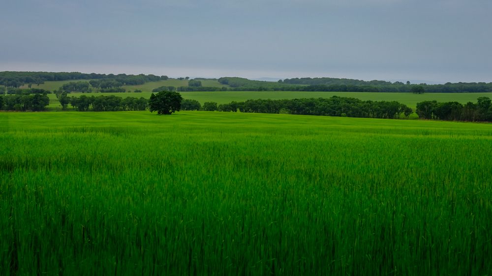 Photograph by Наталья Лобанова