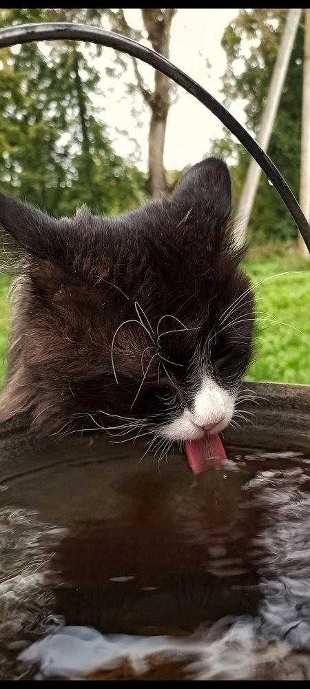 Photograph by Татьяна Исаева